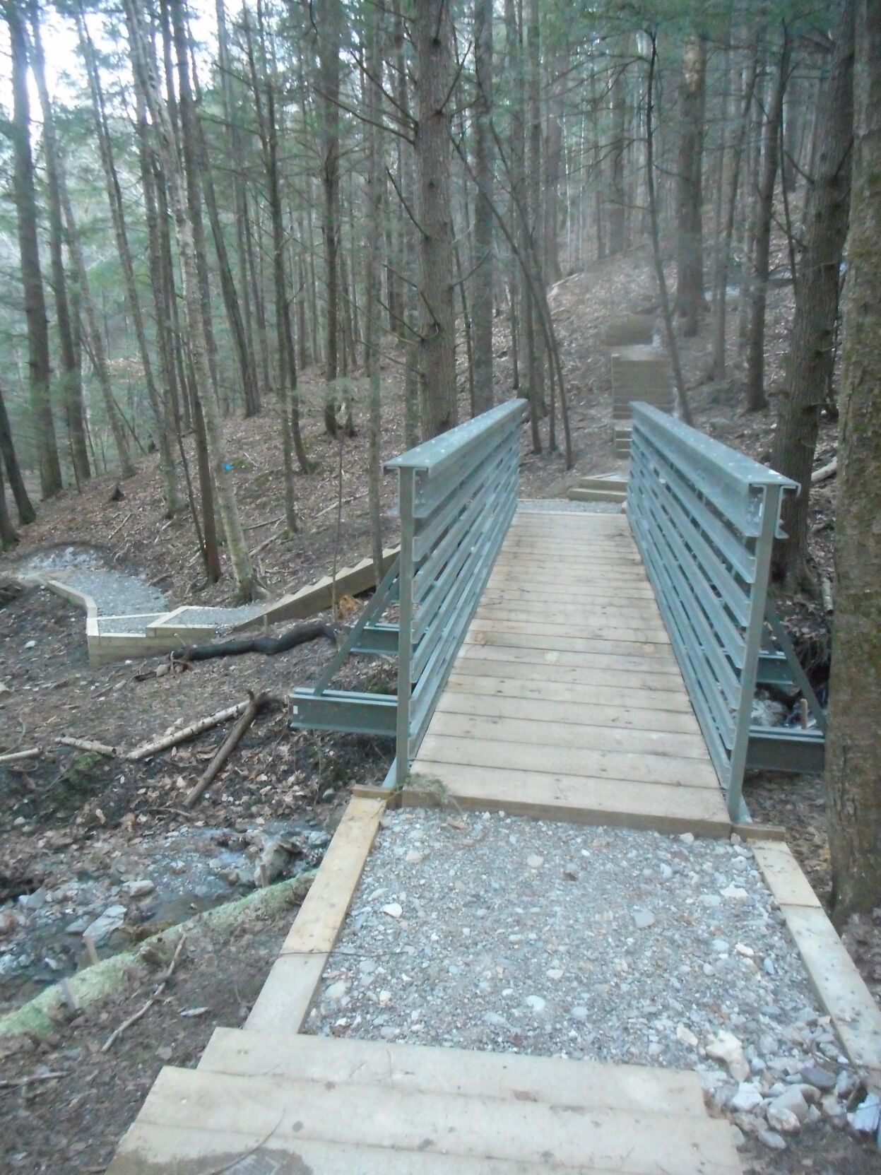 Stevens steps